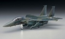 HASEGAWA 00540 F-15E STRIKE EAGLE (U.S. AIR FORCE FIGHTER / ATTACKER)