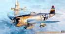 HASEGAWA JT40 09140 P-47D-25 THUNDERBOLT