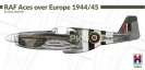 HOBBY 2000 72023 RAF Aces over Europe 1944/1945