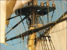 Shipyard MK002 nr67 HMS Victory model kartonowy