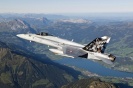 ITALERI 1347 F/A-18 Hornet Tiger Meet 2012