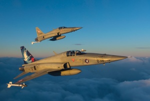 ITALERI 1363 F-5E/N Tiger ll